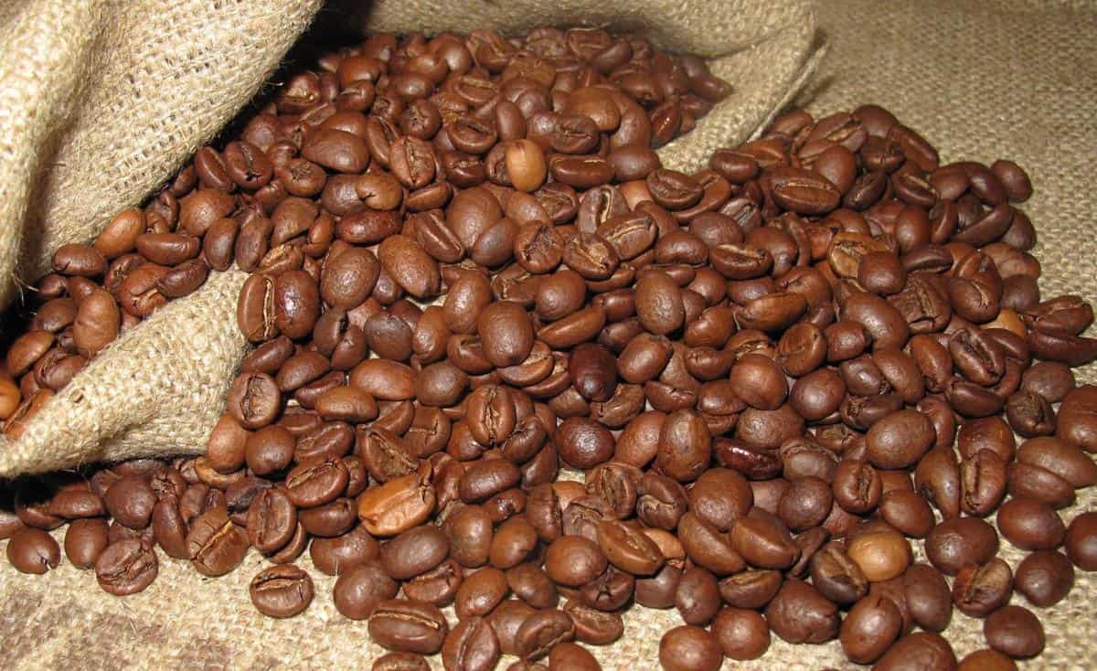 Close-up image of arabica beans, known for their rich flavor and aroma