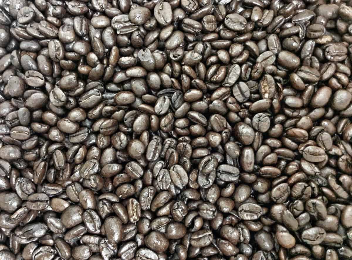 Coffee beans vs. Espresso beans: key differences to know