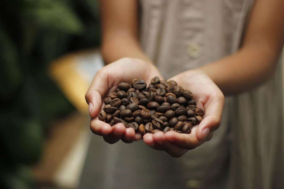 Understanding the distinction: coffee beans vs. Espresso beans explained