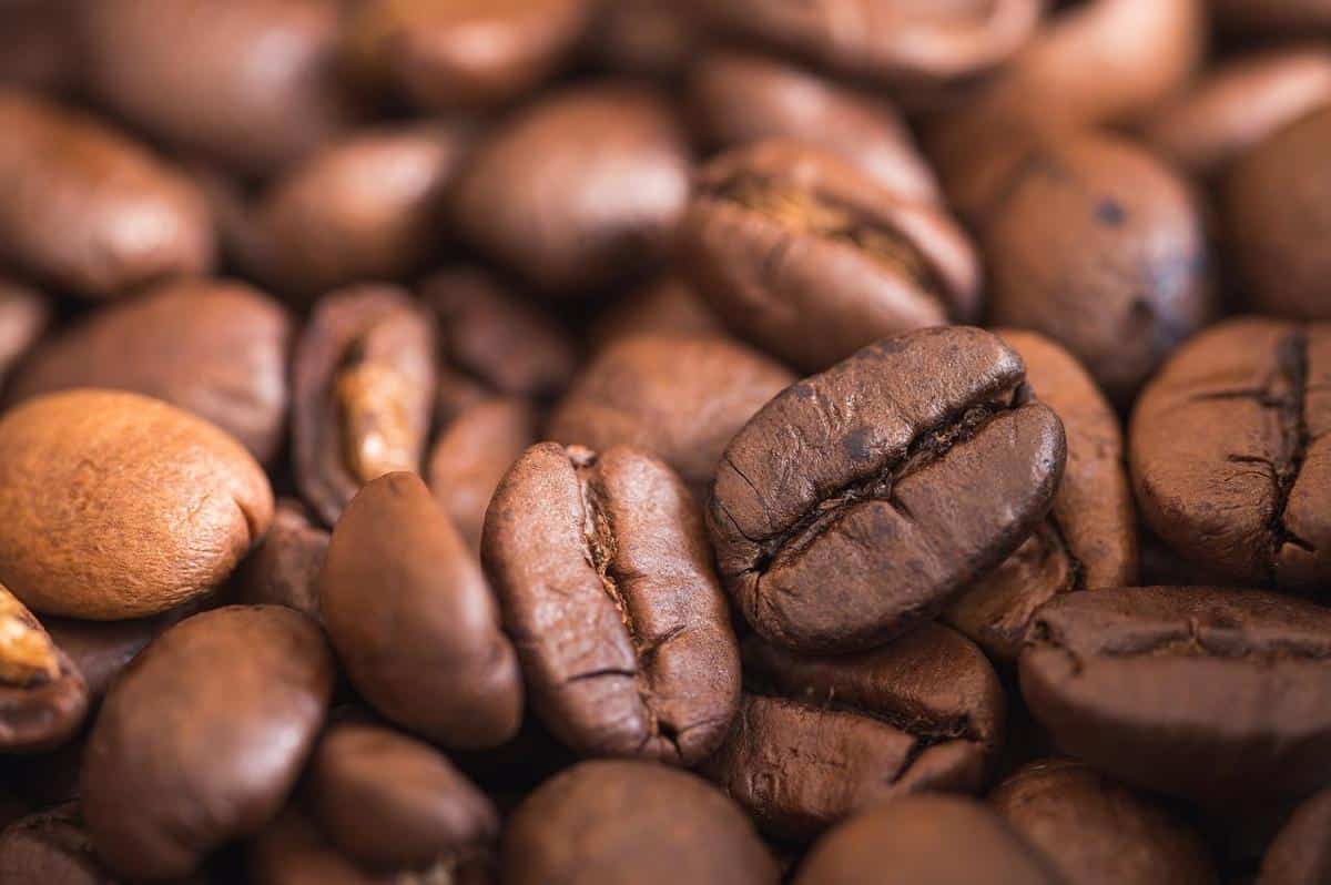 Exploring the similarities and differences: coffee beans vs. Espresso beans