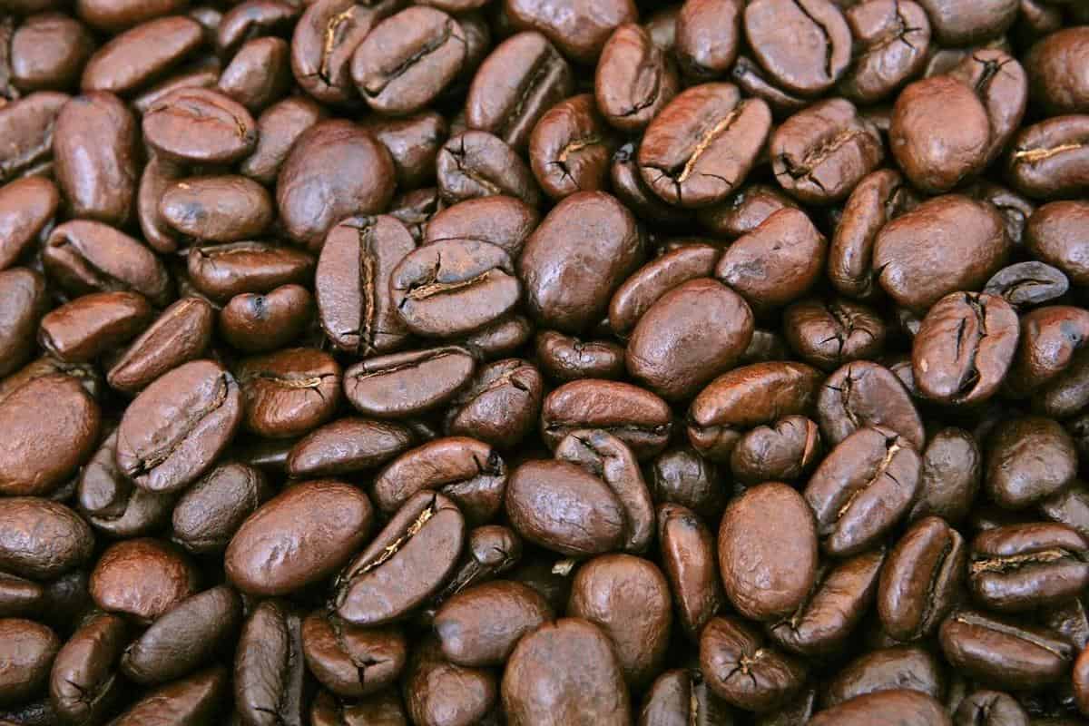 Exploring coffee beans: are they truly beans or rather seeds?