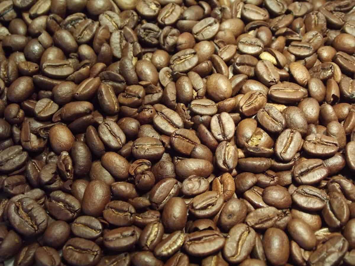 A close-up of a cup filled with steaming catuai coffee beans
