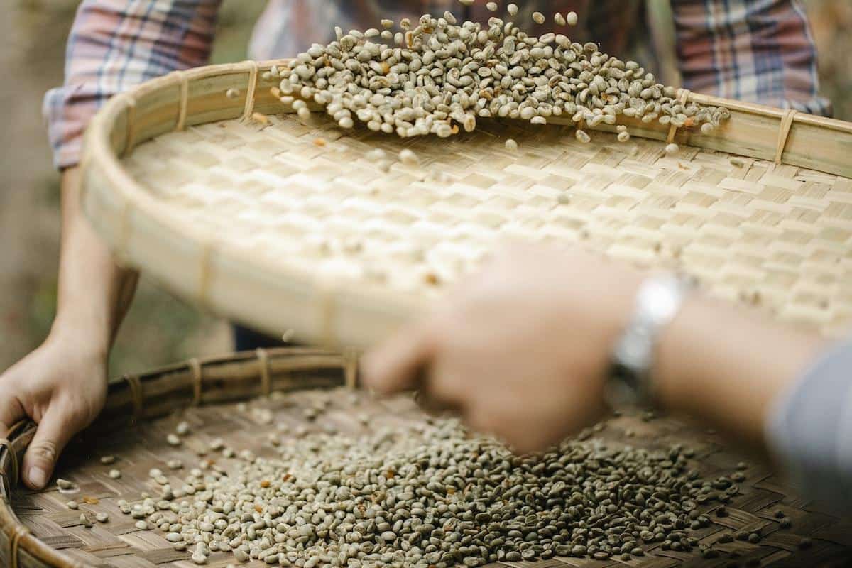 Pile of coffee chaff, the dry outer skin of coffee beans