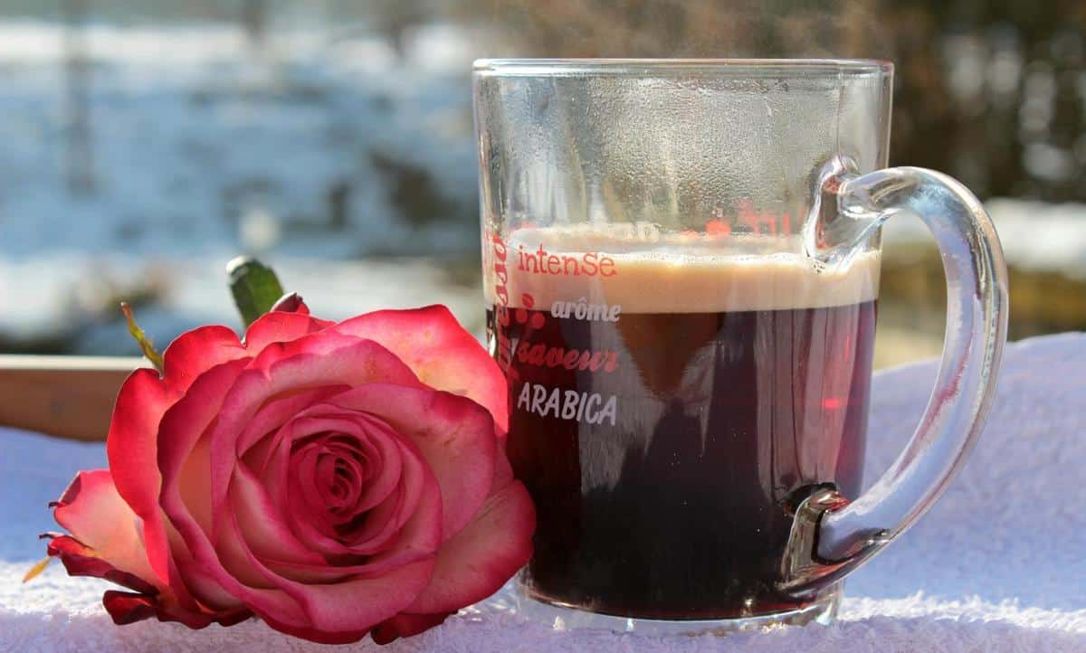 Aromatic coffee beans alongside a bouquet of delicate roses in a vintage vase