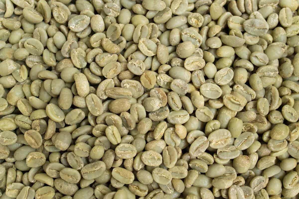 Bunch of green coffee beans