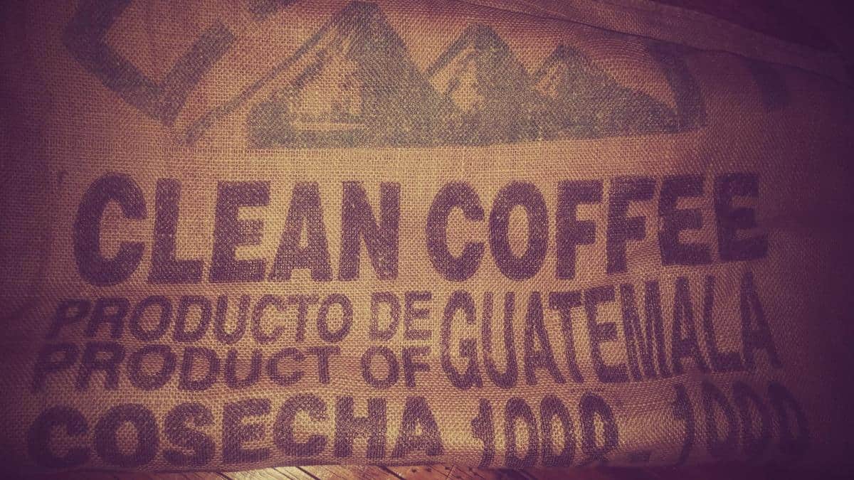 Aromatic guatemalan coffee beans, freshly brewed for a rich and flavorful experience