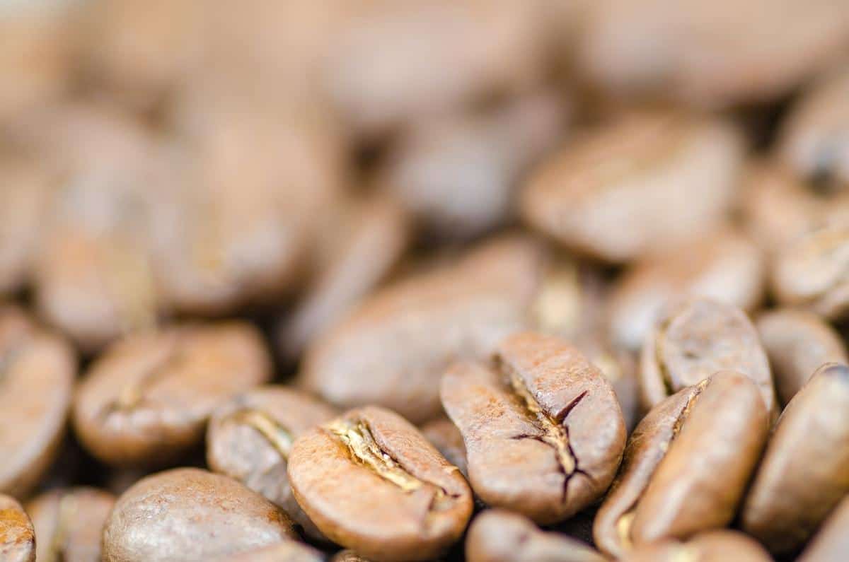 Discover the secrets to perfectly roasted coffee beans with our comprehensive guide