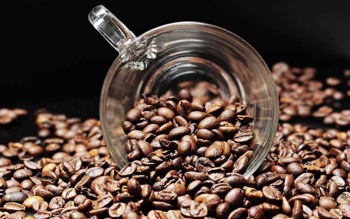 Savor the rich aroma and taste of paleo-approved coffee beans