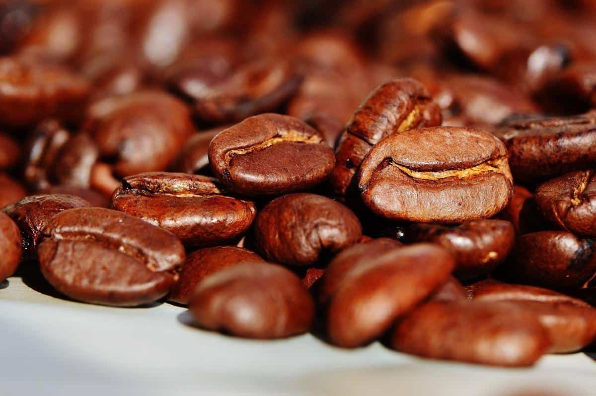 A close-up of freshly roasted coffee beans with a rich aroma