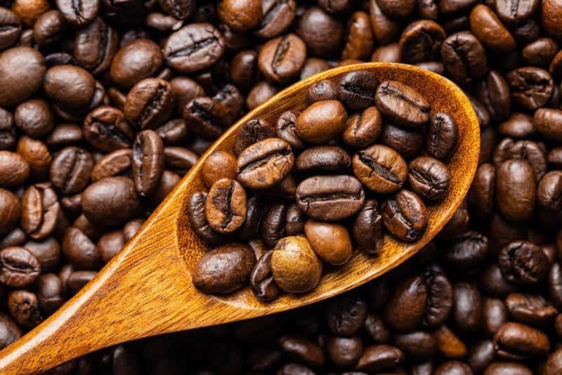 A collection of robust robusta beans, a popular choice among coffee connoisseurs for its rich flavor