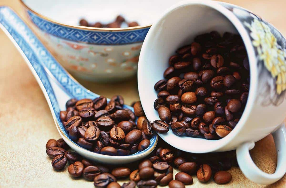 Robusta beans, known for their high caffeine content and distinct taste, ready to be ground