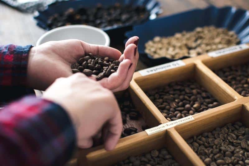 Explore coffee bean variants: arabica, robusta, ethiopian, and brazilian types