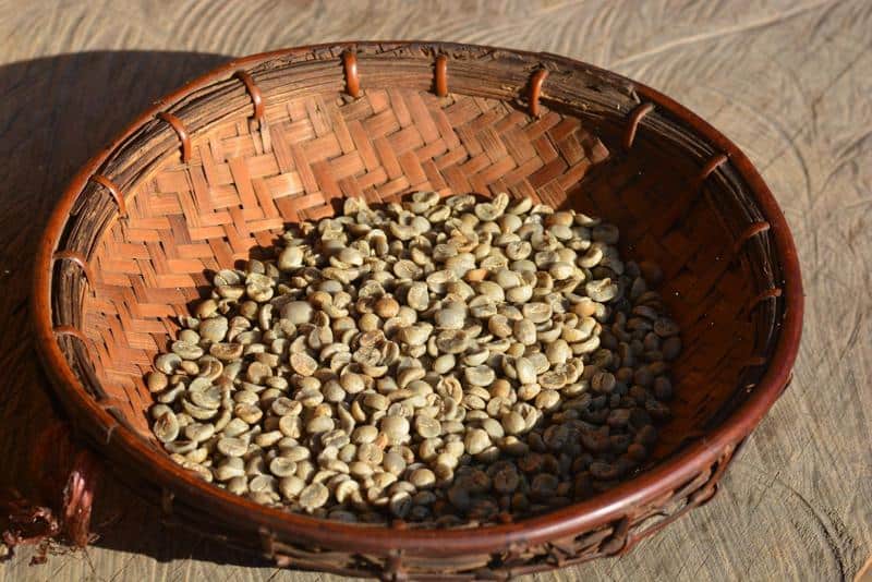 A close-up photo revealing the source of caffeine - where do coffee beans come from?