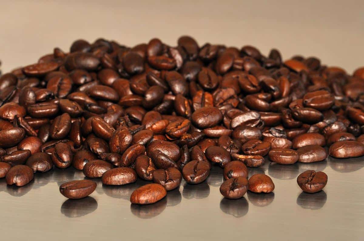 Exploring the origins of coffee beans - the question of where do coffee beans come from?