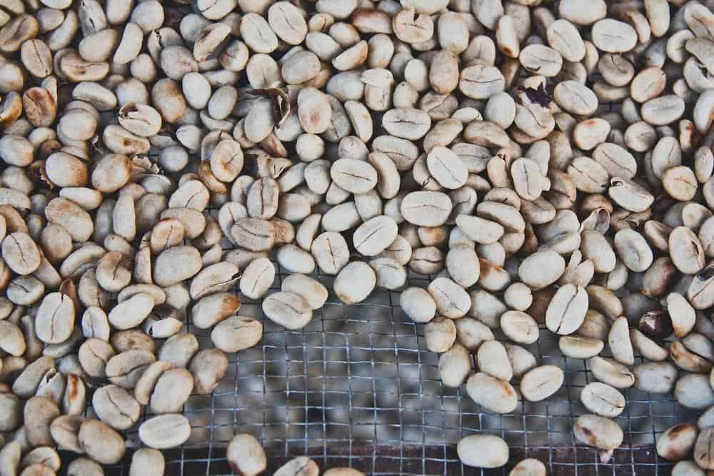 Close-up of a white coffee bean, perfect for brewing a light and aromatic cup of coffee